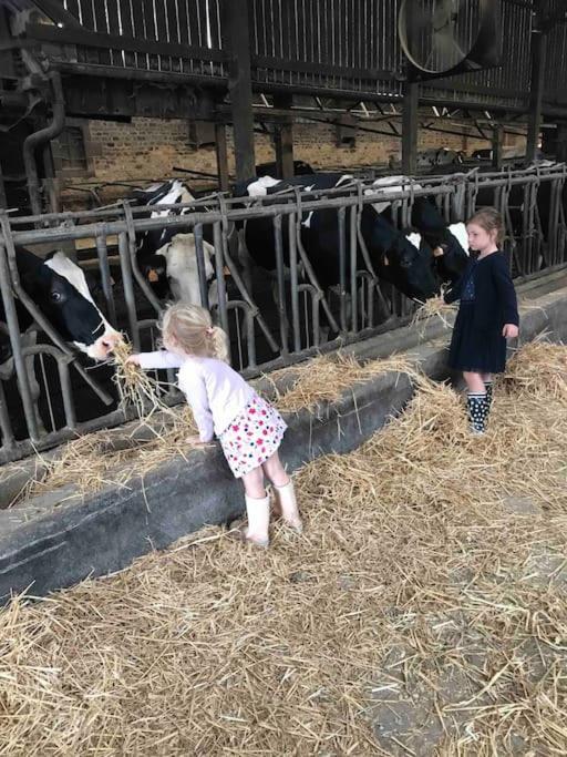 Gite Ferme Cidricole Et Laitiere Vila Magny-le-Desert Exterior foto